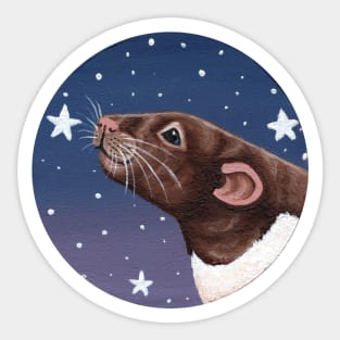 Agouti Hooded Rat Stargazing Sticker